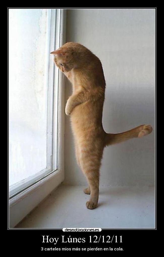 Hoy Lúnes 12/12/11 - 