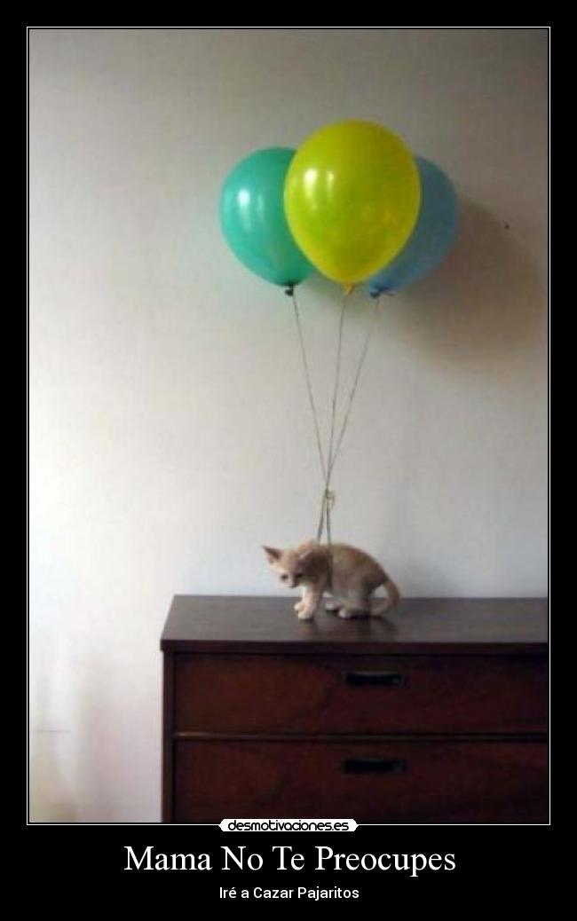 Mama No Te Preocupes - Iré a Cazar Pajaritos