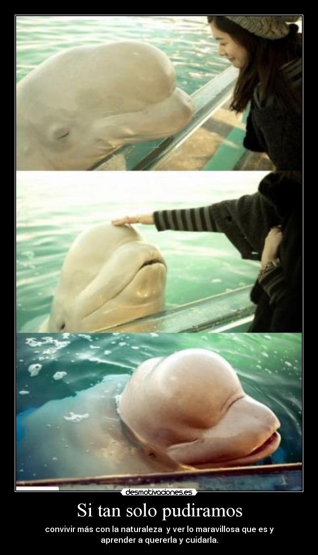 Si tan solo pudiramos -