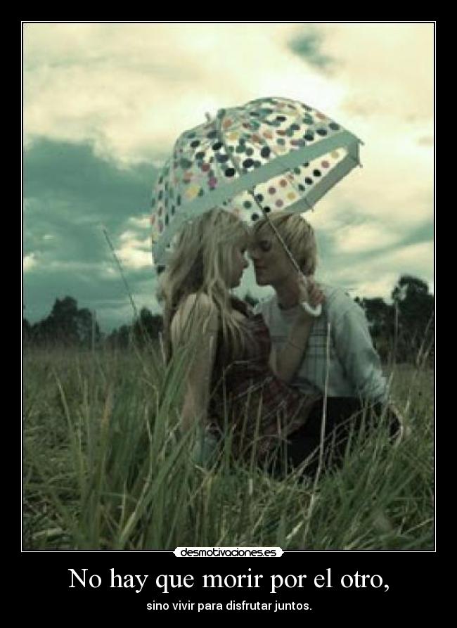 carteles amoor desmotivaciones