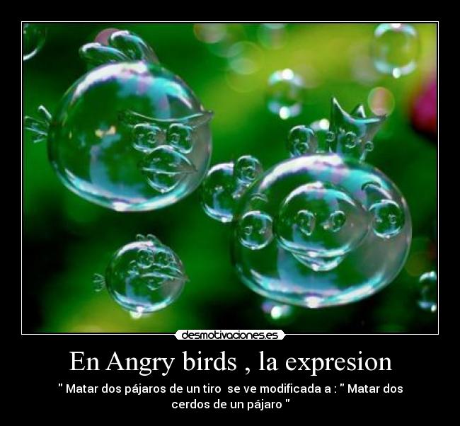 En Angry birds , la expresion - Matar dos pájaros de un tiro se ve modificada a : Matar dos cerdos de un pájaro