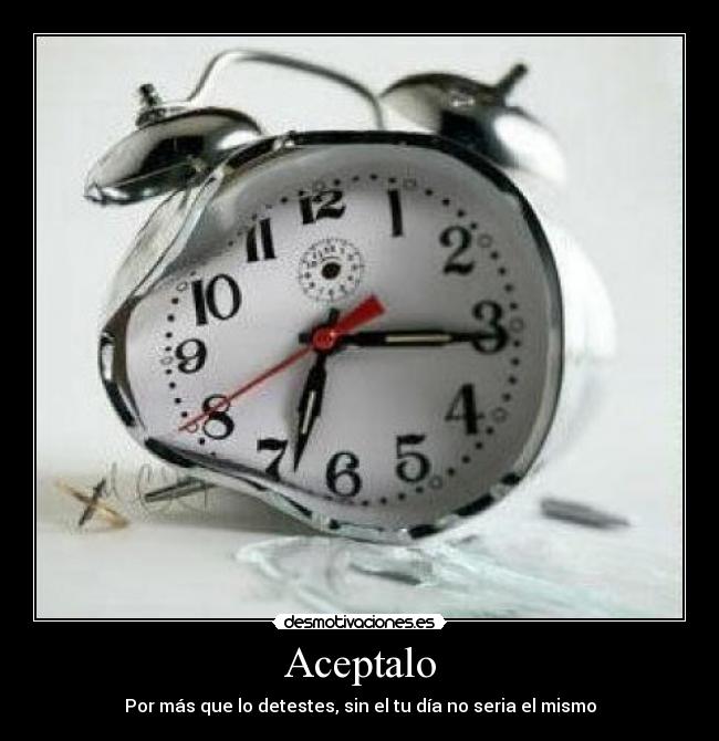Aceptalo - 