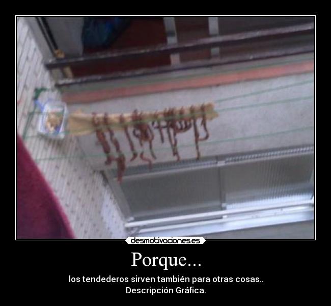 Porque... - los tendederos sirven también para otras cosas..
Descripción Gráfica.