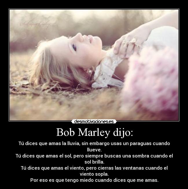 carteles bobmarley desmotivaciones