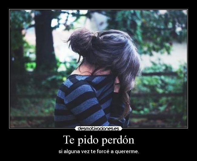 Te pido perdón -