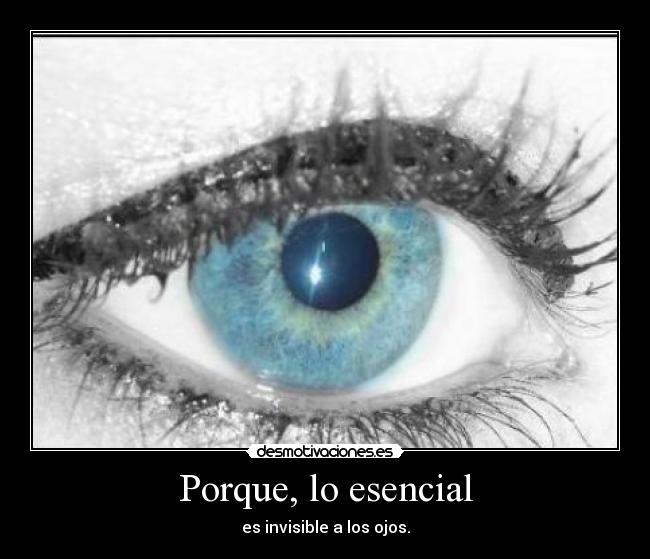 Porque, lo esencial -