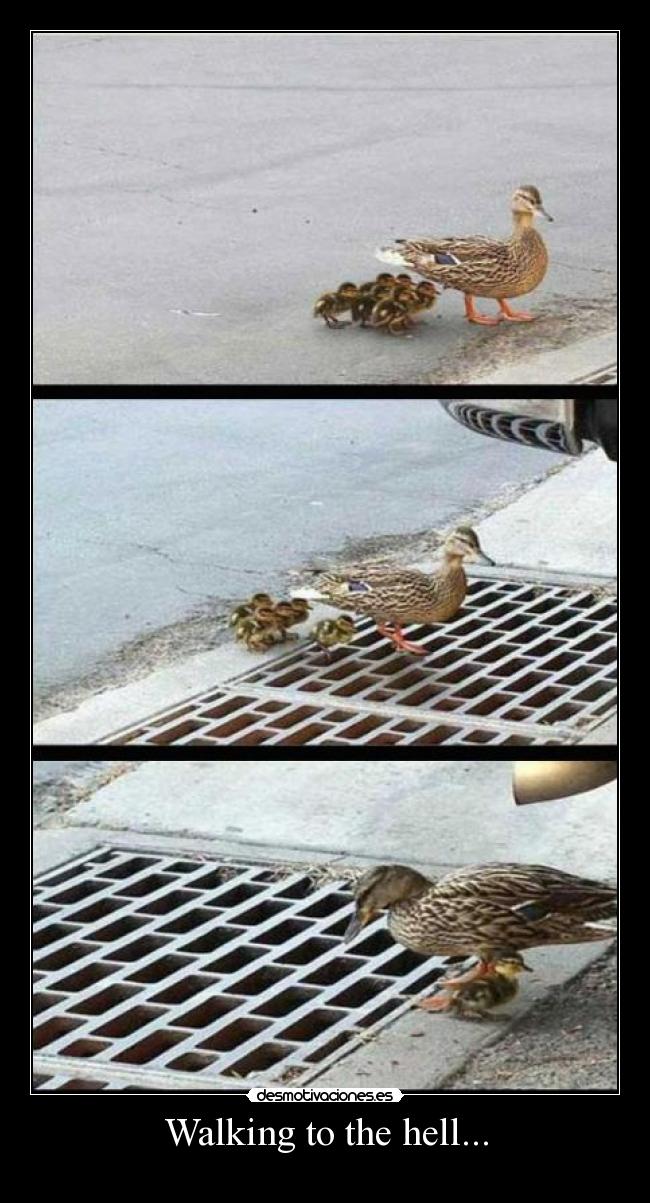 Walking to the hell... -