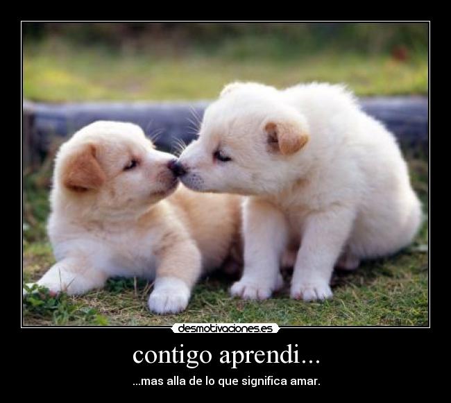 contigo aprendi... - ...mas alla de lo que significa amar.