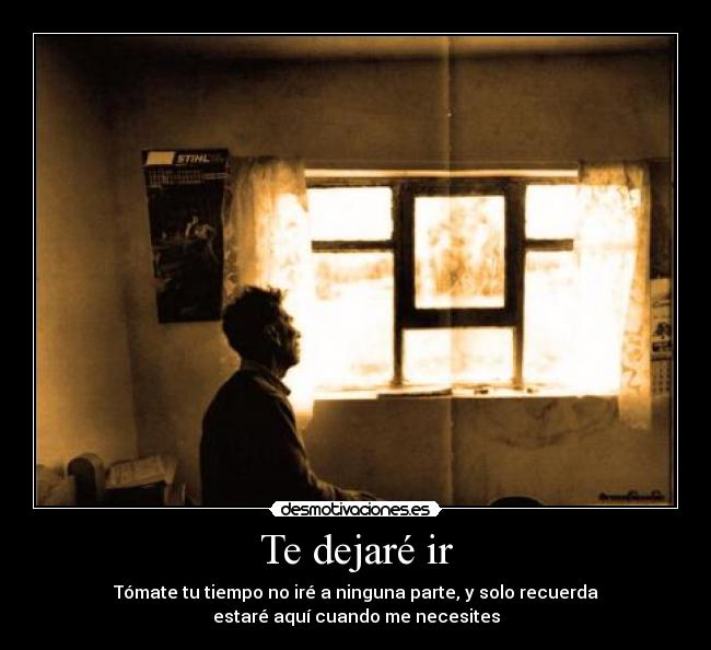 Te dejaré ir -