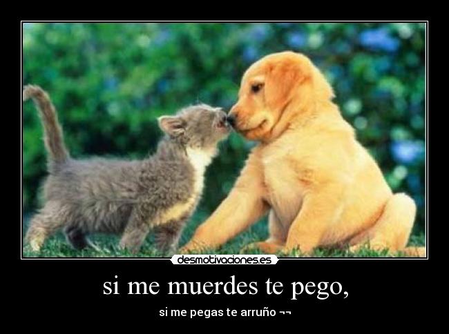 si me muerdes te pego, - si me pegas te arruño ¬¬