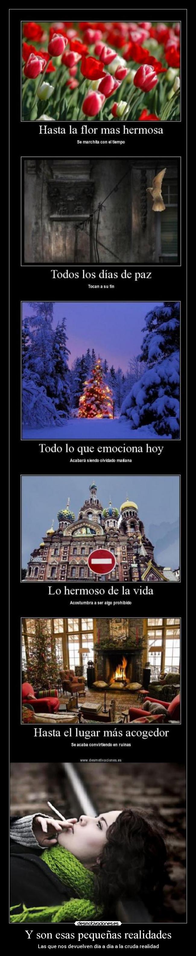 Y son esas pequeñas realidades - Las que nos devuelven día a día a la cruda realidad