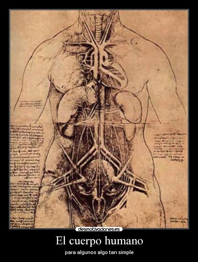 El cuerpo humano - para algunos algo tan simple