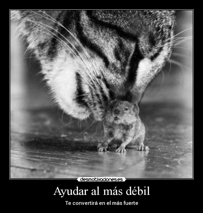 Ayudar al más débil -