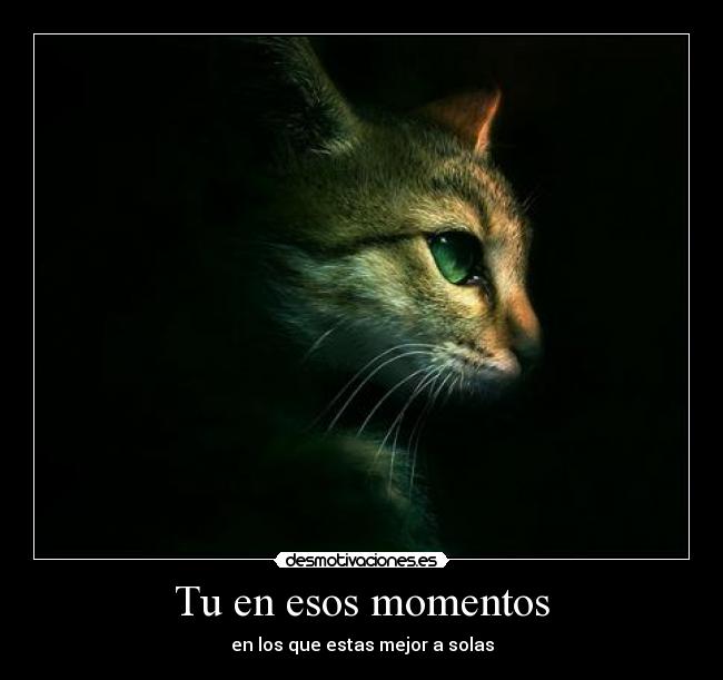 Tu en esos momentos - en los que estas mejor a solas