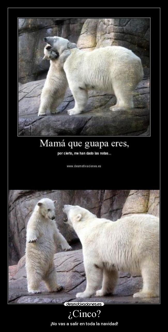 ¿Cinco? -