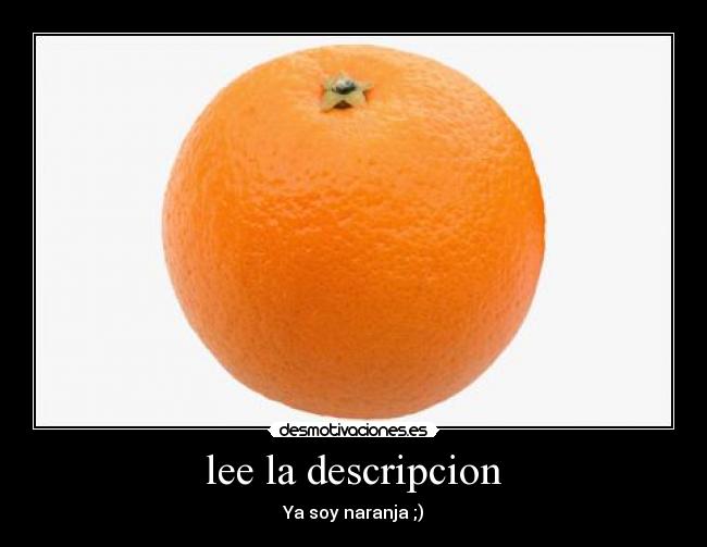 lee la descripcion -