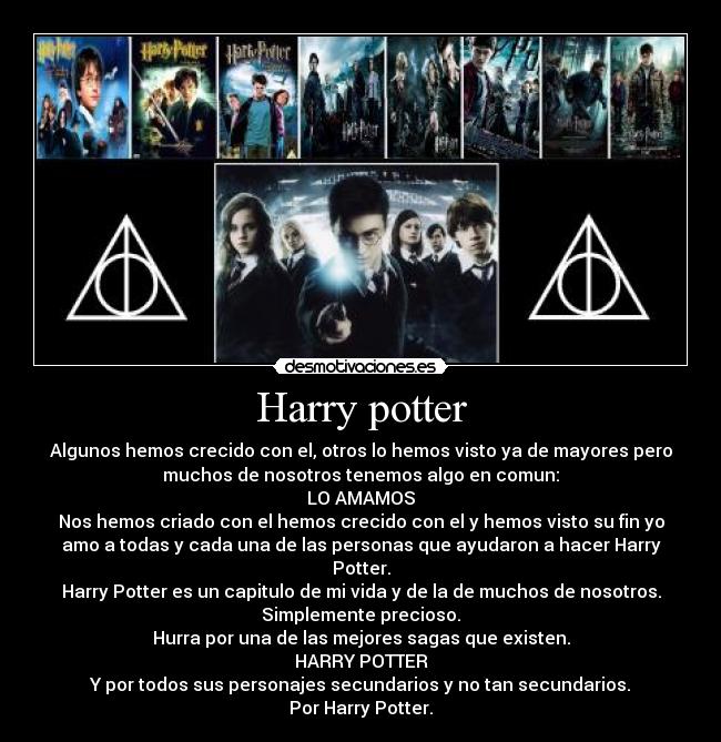 carteles harry potter mejor saga del mundo desmotivaciones