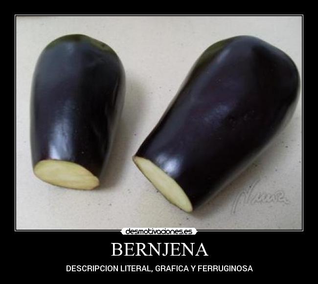 BERNJENA - DESCRIPCION LITERAL, GRAFICA Y FERRUGINOSA
