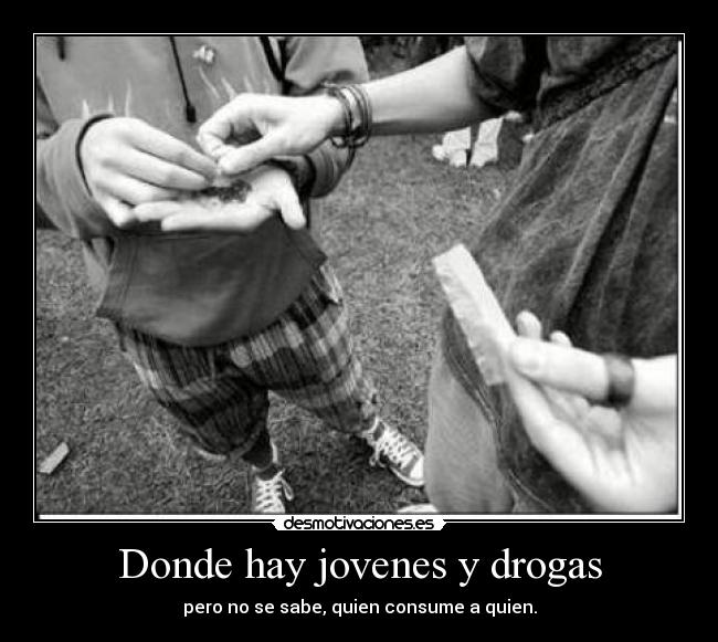 Donde hay jovenes y drogas - pero no se sabe, quien consume a quien.