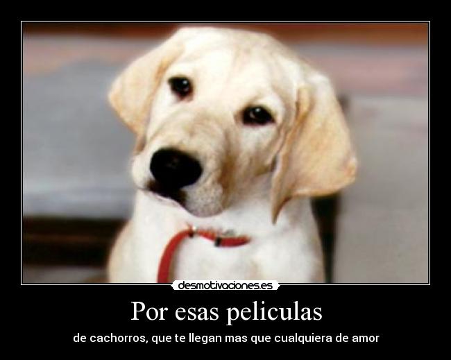 Por esas peliculas - 