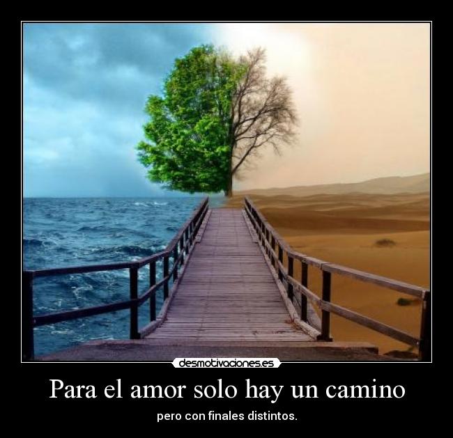 Para el amor solo hay un camino - pero con finales distintos.