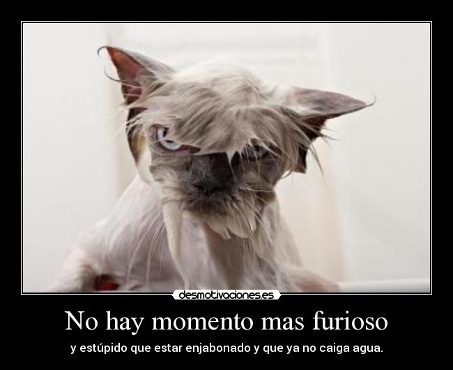 No hay momento mas furioso - y estúpido que estar enjabonado y que ya no caiga agua.