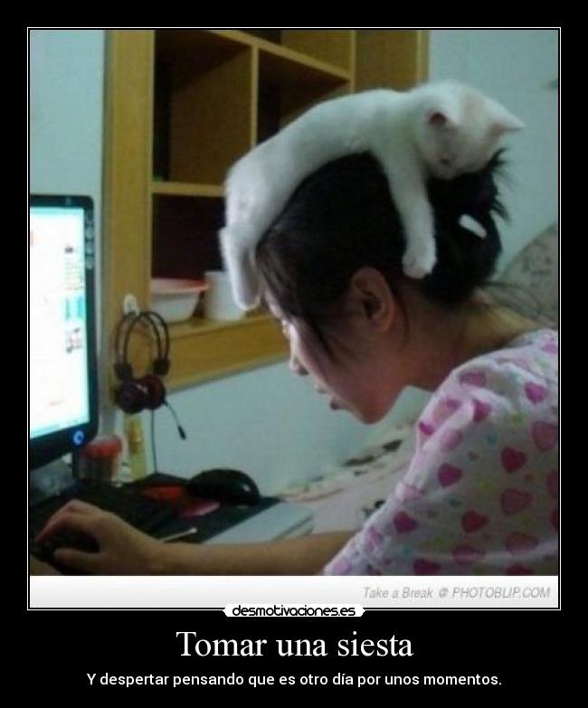 Tomar una siesta - Y despertar pensando que es otro día por unos momentos.