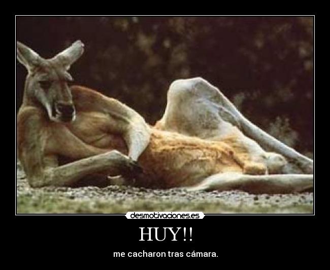 HUY!! - 