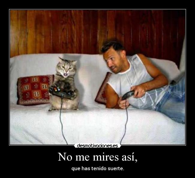 carteles lexi26 gatosconsola desmotivaciones