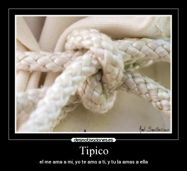 Tipico -