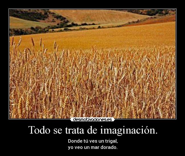 Todo se trata de imaginación. -
