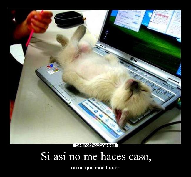 Si así no me haces caso, - 