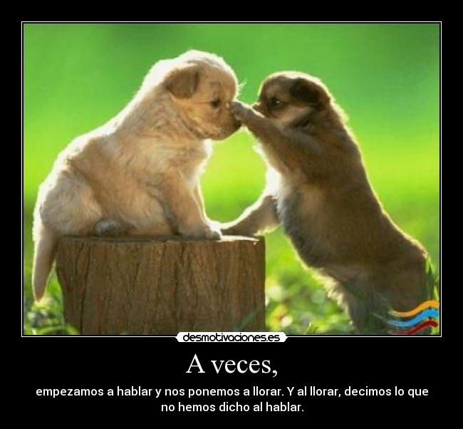 A veces, - empezamos a hablar y nos ponemos a llorar. Y al llorar, decimos lo que
no hemos dicho al hablar.