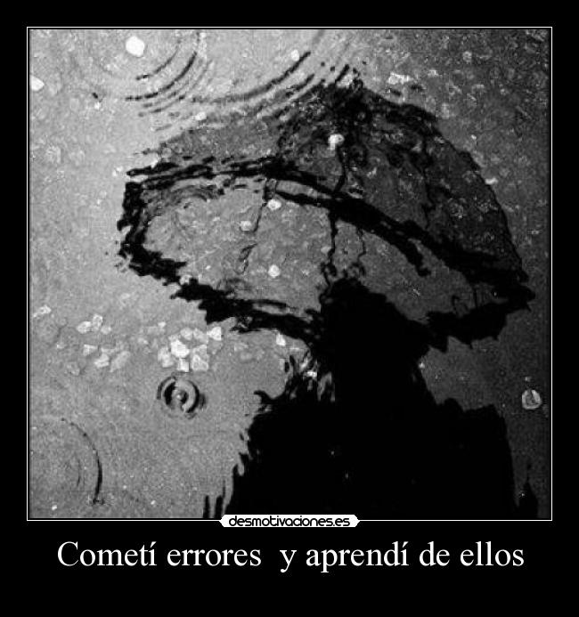 Cometí errores  y aprendí de ellos - 