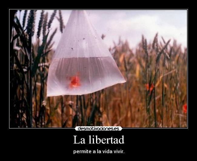 La libertad - permite a la vida vivir.