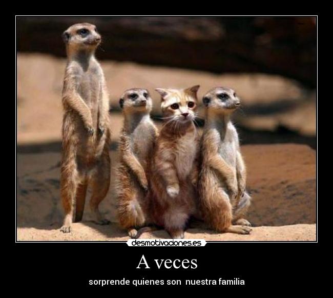 A veces -