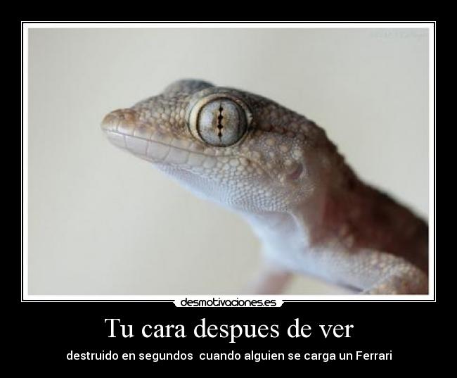 carteles destruido segundos joder pobre ferrari salamanquesa careto desmotivaciones
