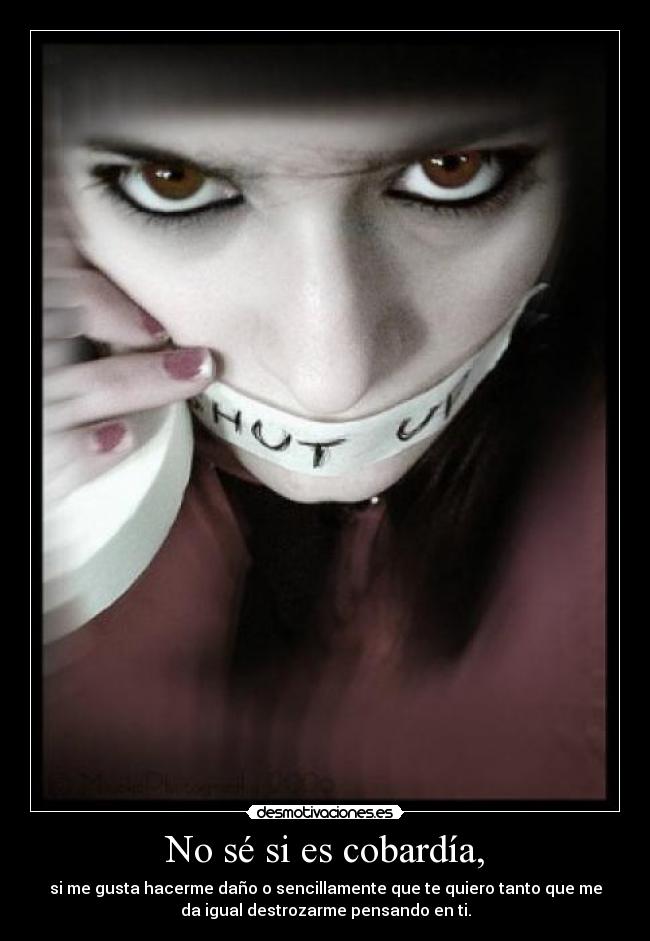 No sé si es cobardía, -