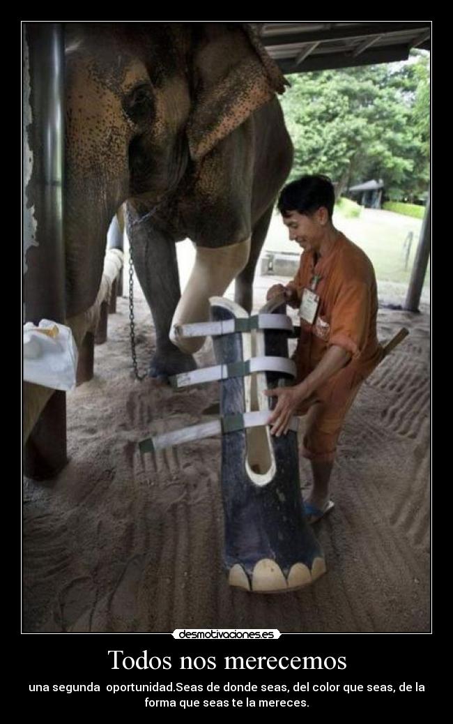 Todos nos merecemos -