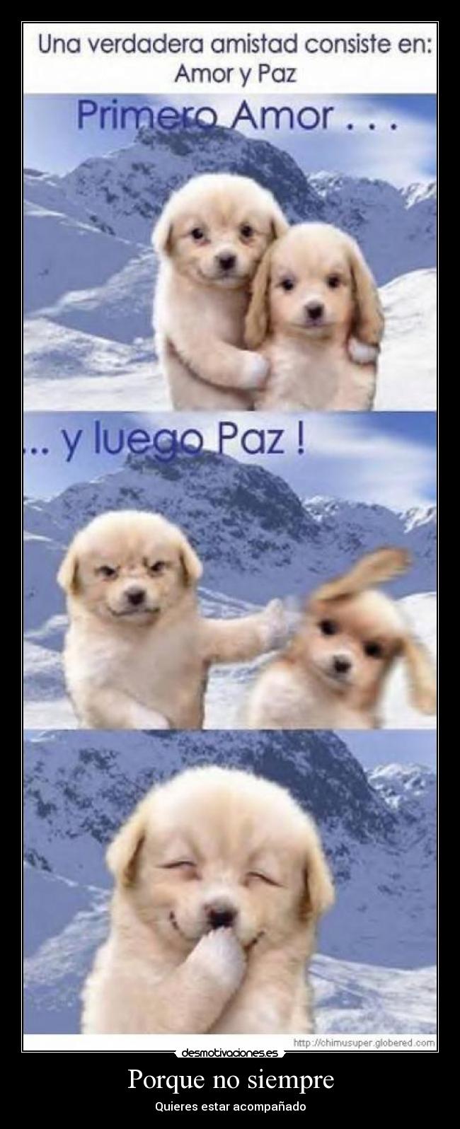 Porque no siempre - Quieres estar acompañado