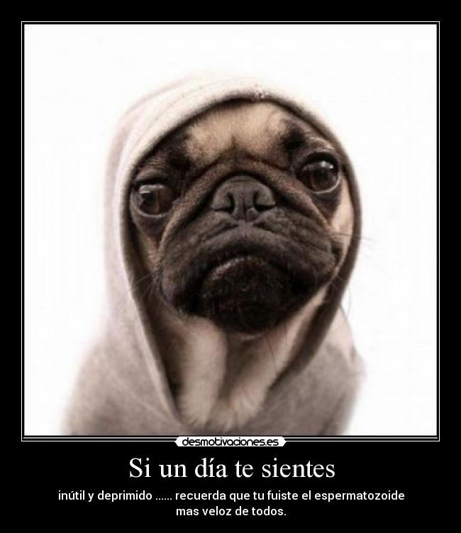 Si un día te sientes - 