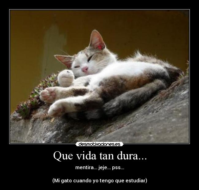 carteles vida xdddddddddddddddddddddddddddddddddd desmotivaciones