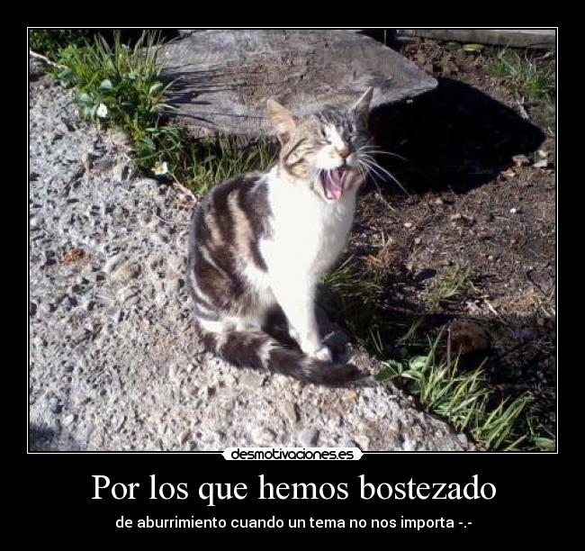 Por los que hemos bostezado - de aburrimiento cuando un tema no nos importa -.-