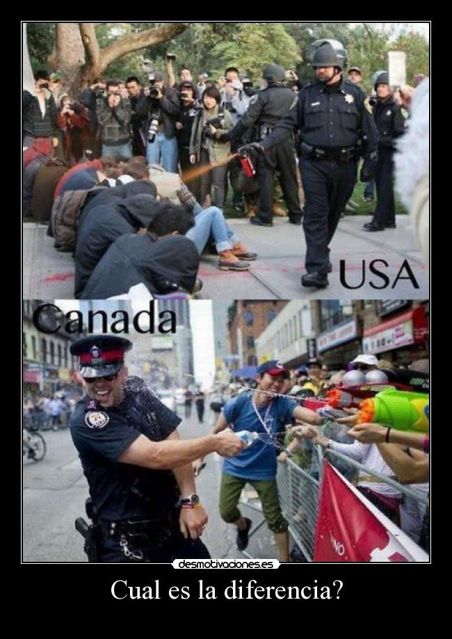 Cual es la diferencia? -