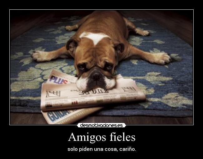 carteles amigos xdddddddddddddddddddddddddddddddddd desmotivaciones