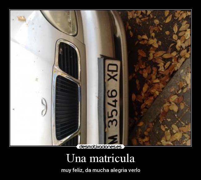 carteles matricula desmotivaciones