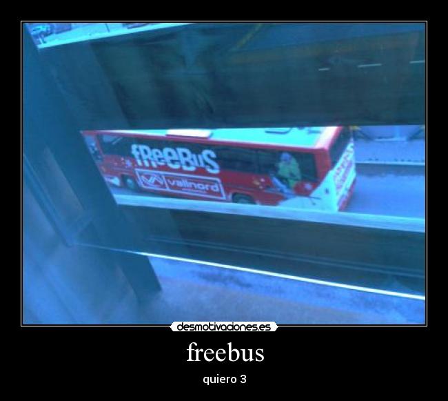freebus - quiero 3