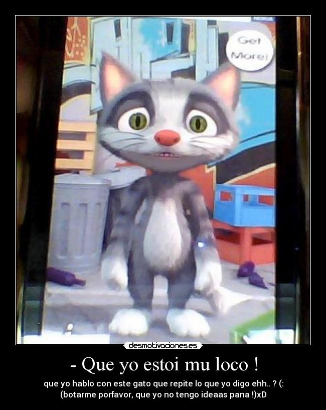 - Que yo estoi mu loco ! -