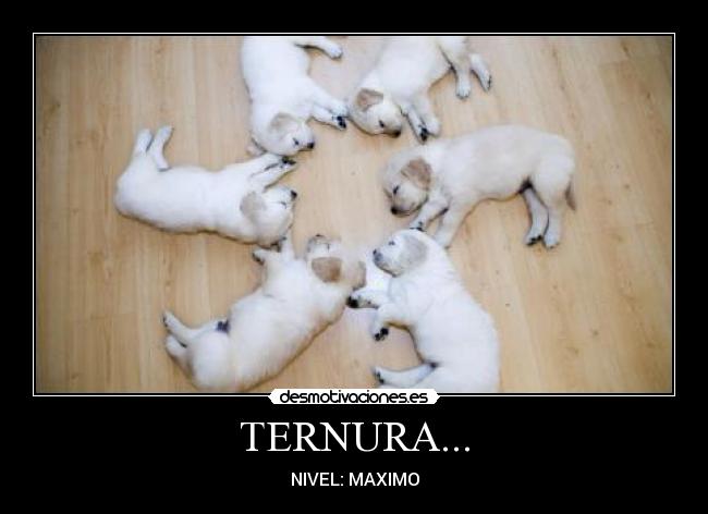 TERNURA... - NIVEL: MAXIMO