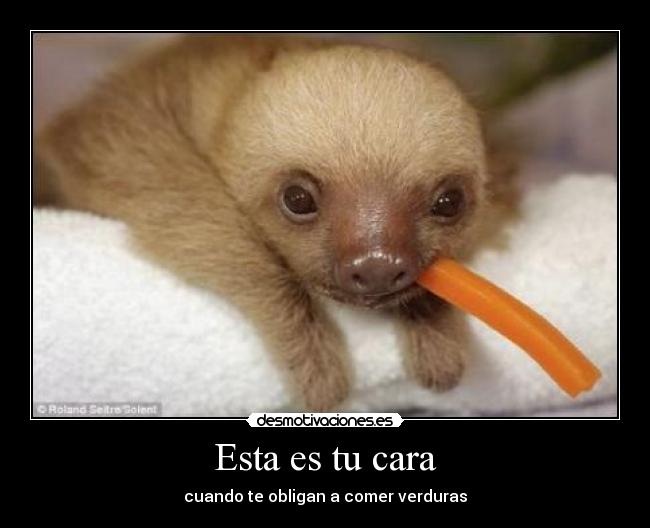 Esta es tu cara - cuando te obligan a comer verduras